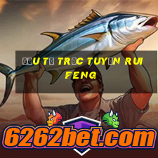 Đầu tư trực tuyến Ruifeng