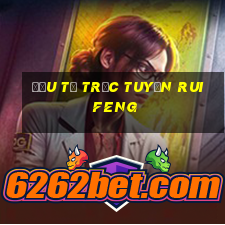 Đầu tư trực tuyến Ruifeng