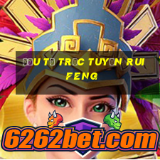 Đầu tư trực tuyến Ruifeng