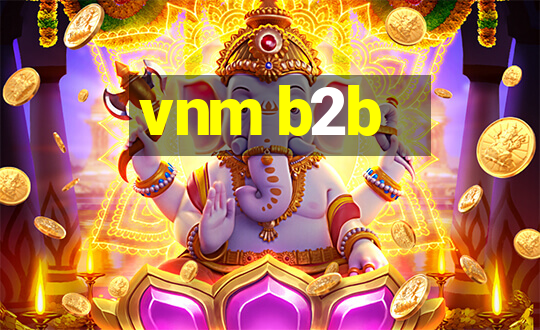 vnm b2b