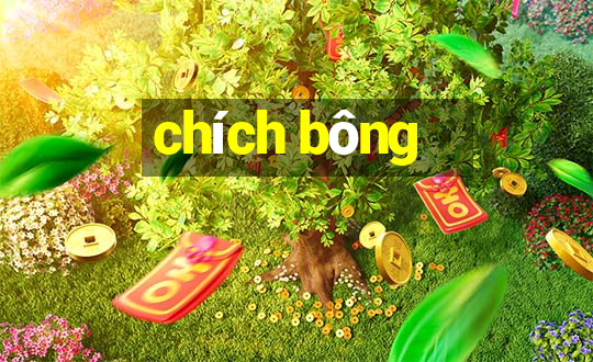 chích bông