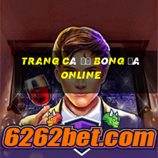 trang cá độ bóng đá online