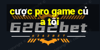 cược pro game của tôi