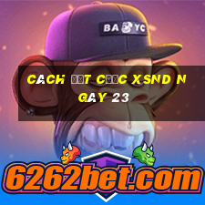 Cách đặt cược XSND ngày 23