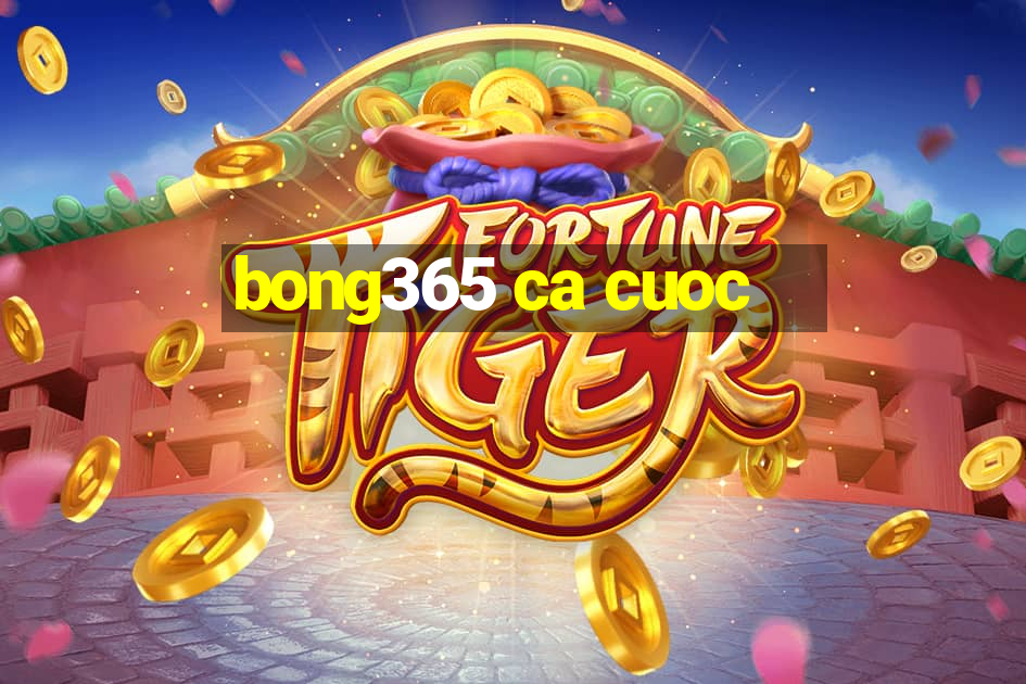 bong365 ca cuoc