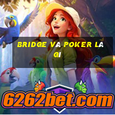 bridge và poker là gì