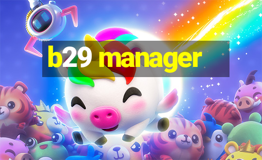 b29 manager