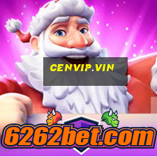 cenvip.vin