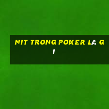 nit trong poker là gì