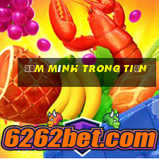 Đắm mình trong tiền