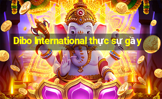 Dibo International thực sự gầy