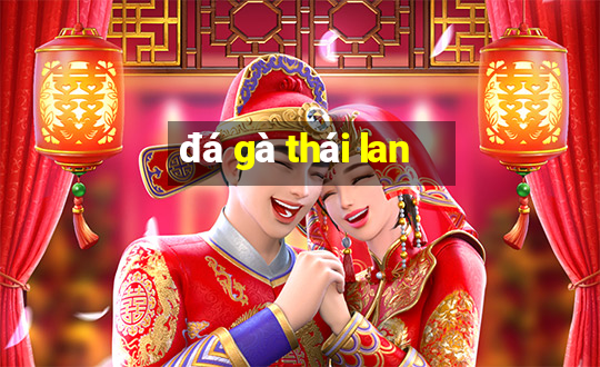 đá gà thái lan