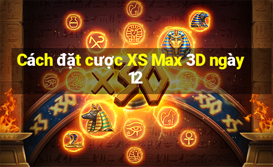 Cách đặt cược XS Max 3D ngày 12