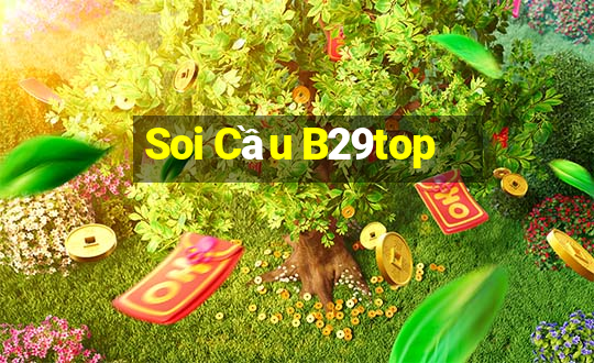 Soi Cầu B29top