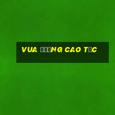 Vua Đường Cao Tốc