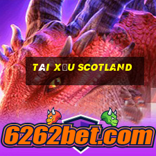 tài xỉu scotland