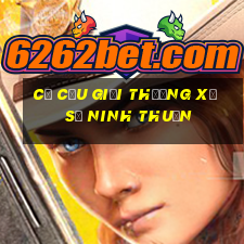 cơ cấu giải thưởng xổ số ninh thuận