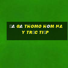 đá gà thomo hôm nay trực tiếp