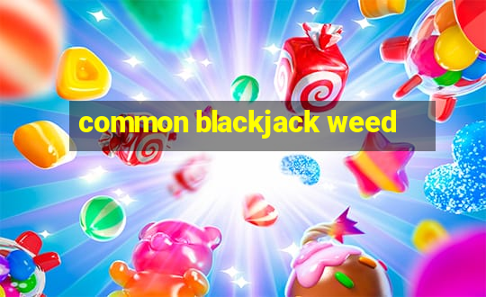 common blackjack weed