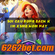 soi cau rong bach kim xsmb hom nay