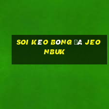 soi kèo bóng đá jeonbuk