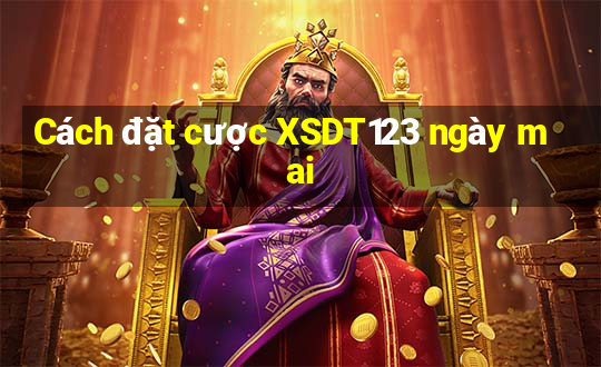 Cách đặt cược XSDT123 ngày mai