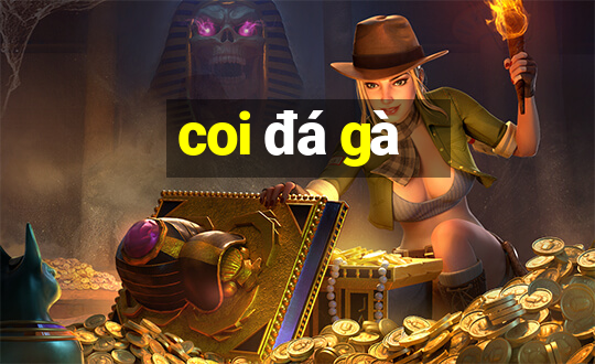 coi đá gà