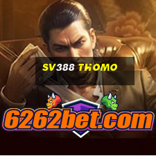 sv388 thomo