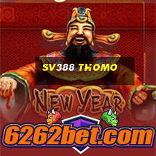 sv388 thomo