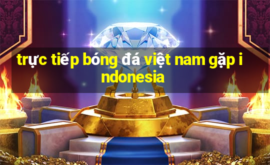 trực tiếp bóng đá việt nam gặp indonesia