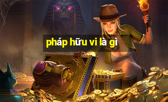 pháp hữu vi là gì