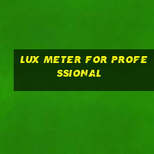 lux meter for professional