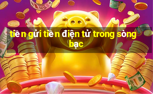 tiền gửi tiền điện tử trong sòng bạc