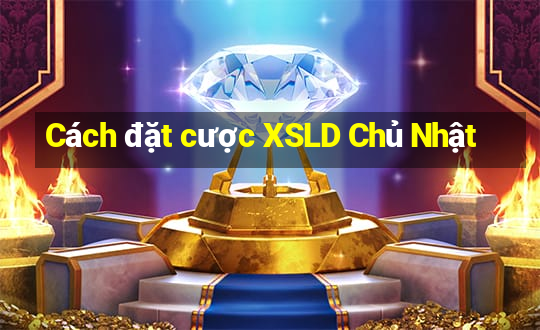 Cách đặt cược XSLD Chủ Nhật