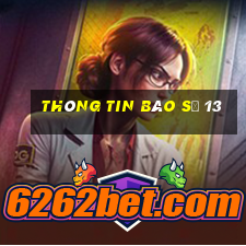 thông tin bão số 13