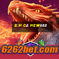 Bắn Cá New688