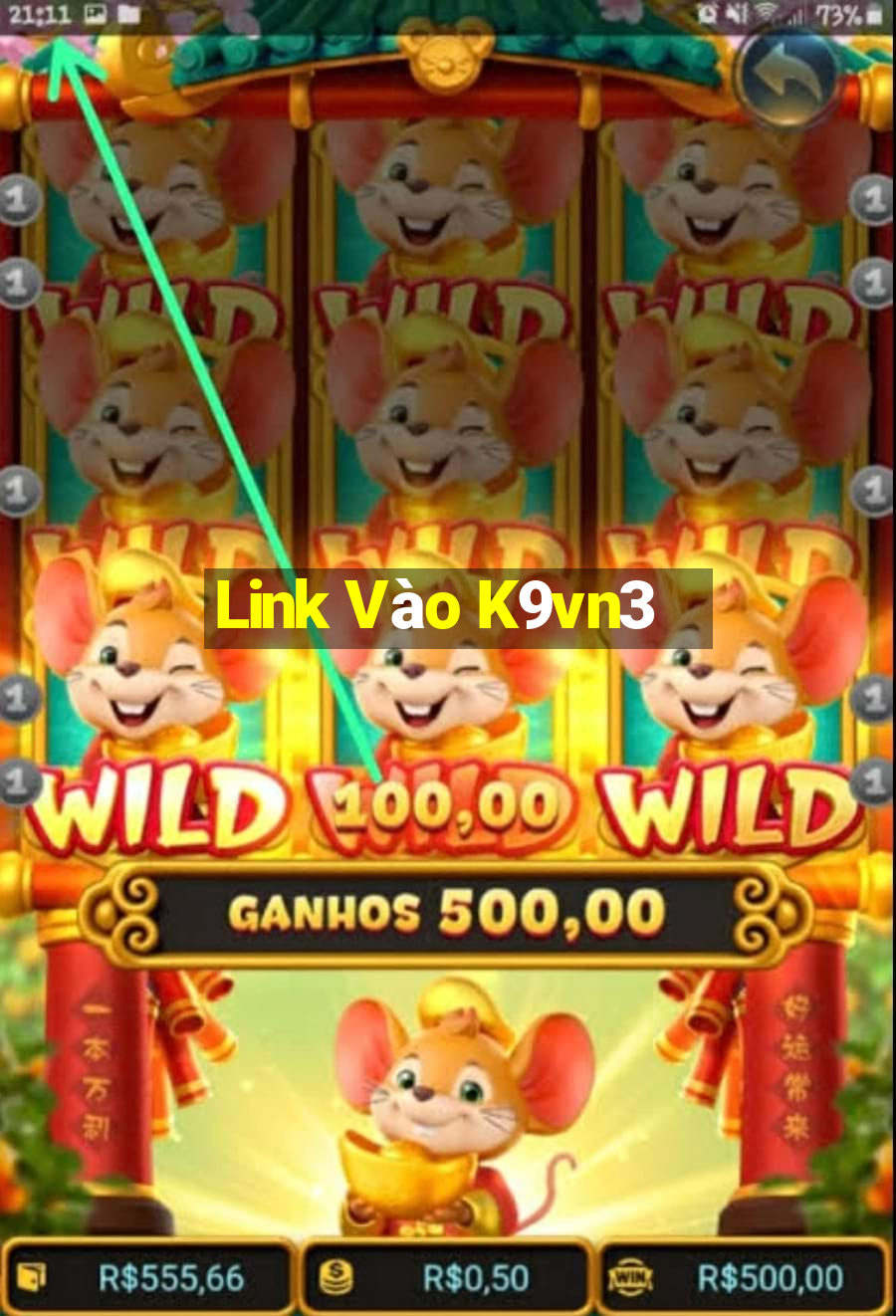 Link Vào K9vn3