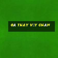 gà thay vảy chân