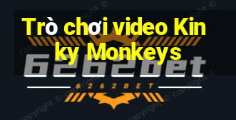 Trò chơi video Kinky Monkeys