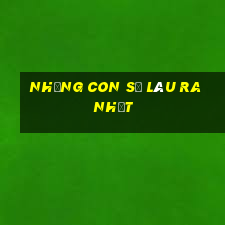 những con số lâu ra nhất