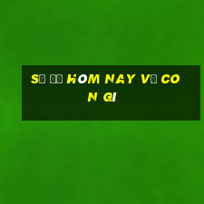 số đề hôm nay về con gì