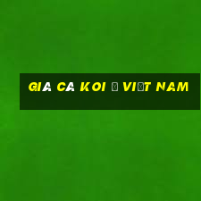 giá cá koi ở việt nam