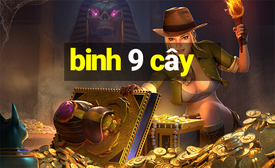 binh 9 cây