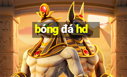 bóng đá hd