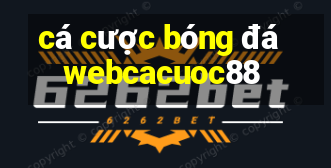 cá cược bóng đá webcacuoc88