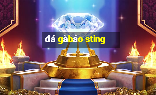 đá gà bảo sting