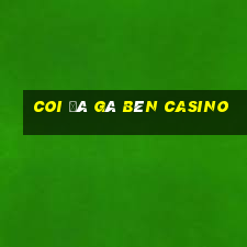 coi đá gà bên casino