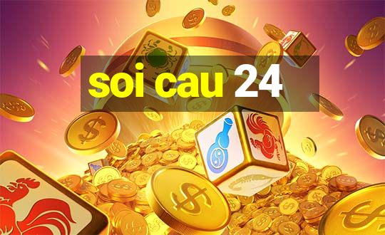 soi cau 24