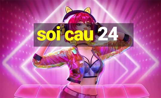 soi cau 24