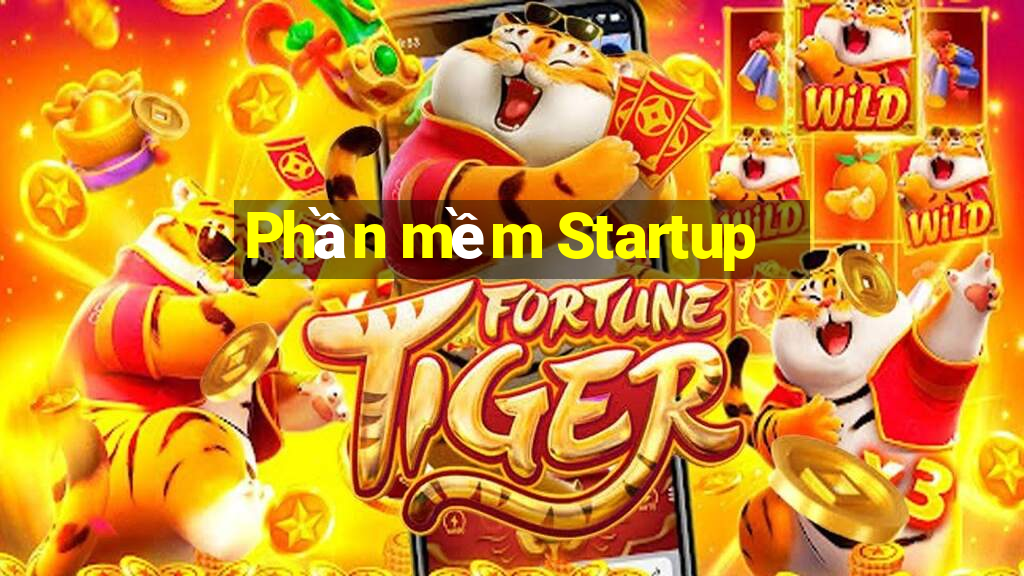 Phần mềm Startup